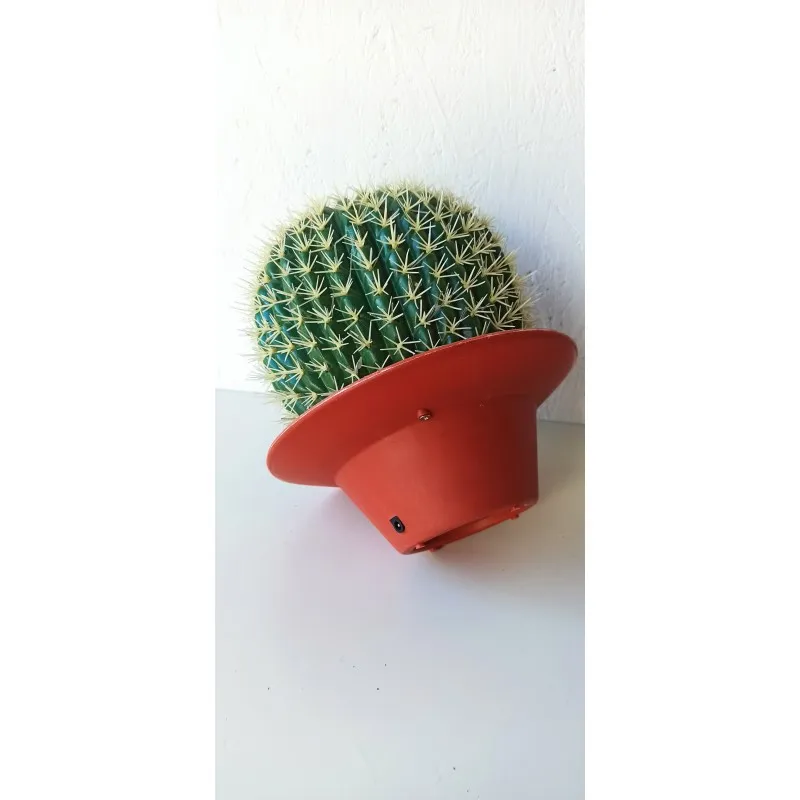runder kaktus arten Mammillaria glareosa SAMEN main image 0